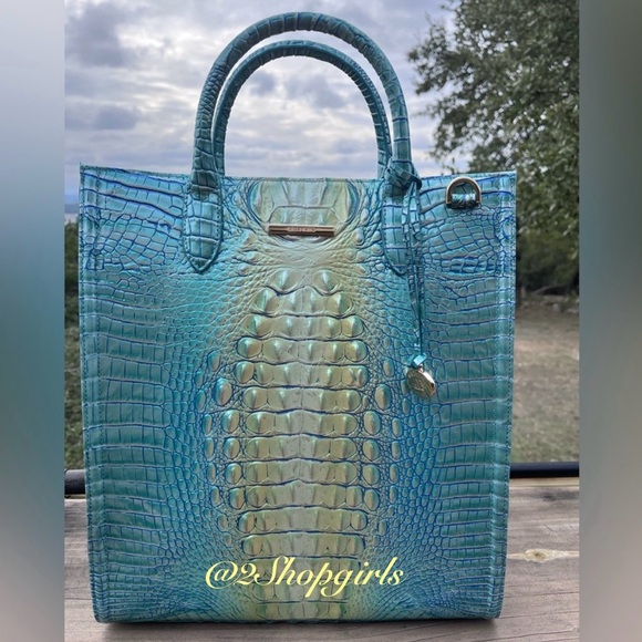 NWT Brahmin Monique Seafoam Ombre Melbourne Tote - Picture 3 of 9
